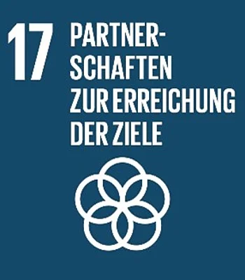 Partnerschaften zur Erreichung der Ziele