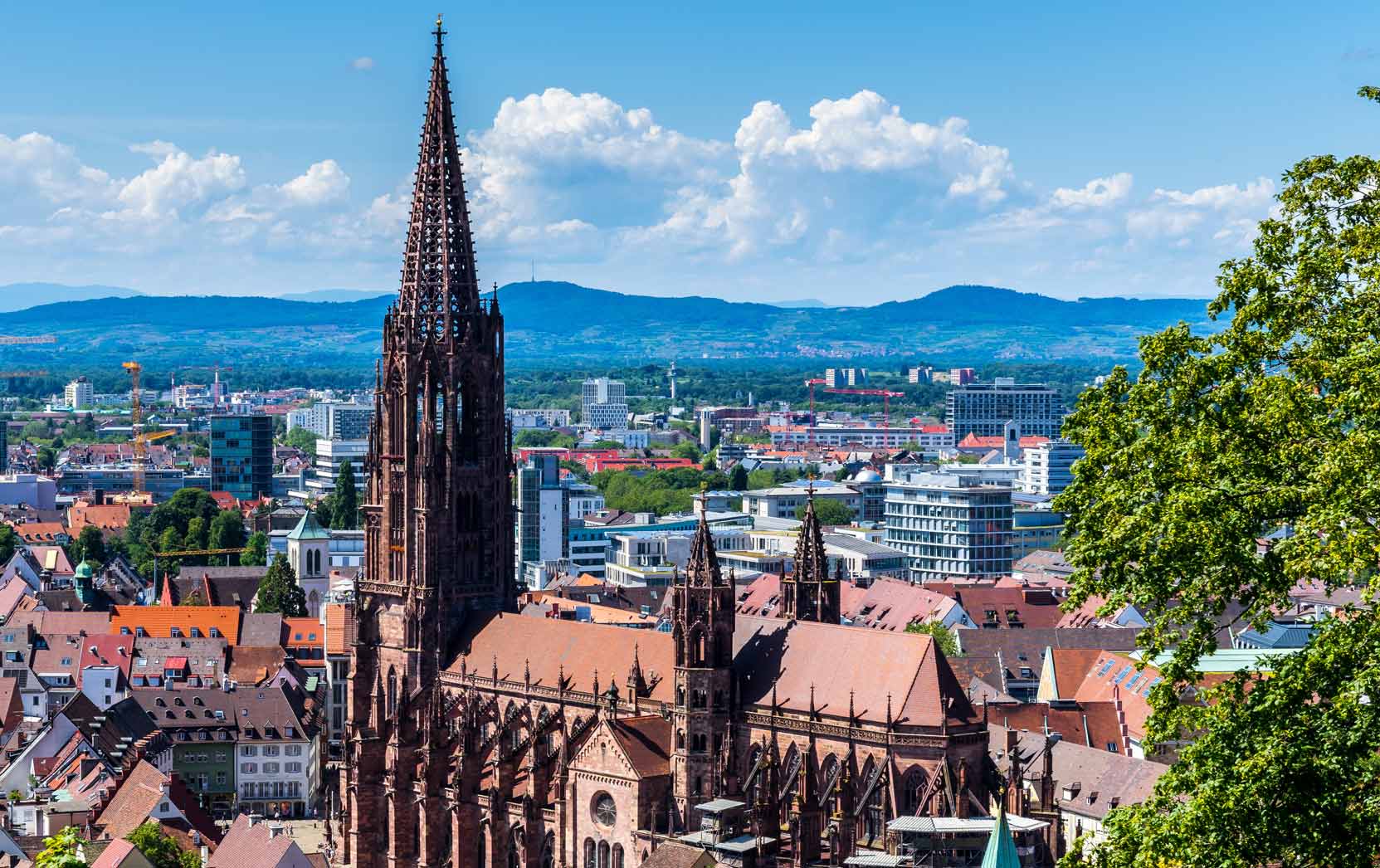 Blick vom Schlossberg auf das Freiburger Münster und die Altstadt bei schönem Wetter, im Hintergrund der Kaiserstuhl